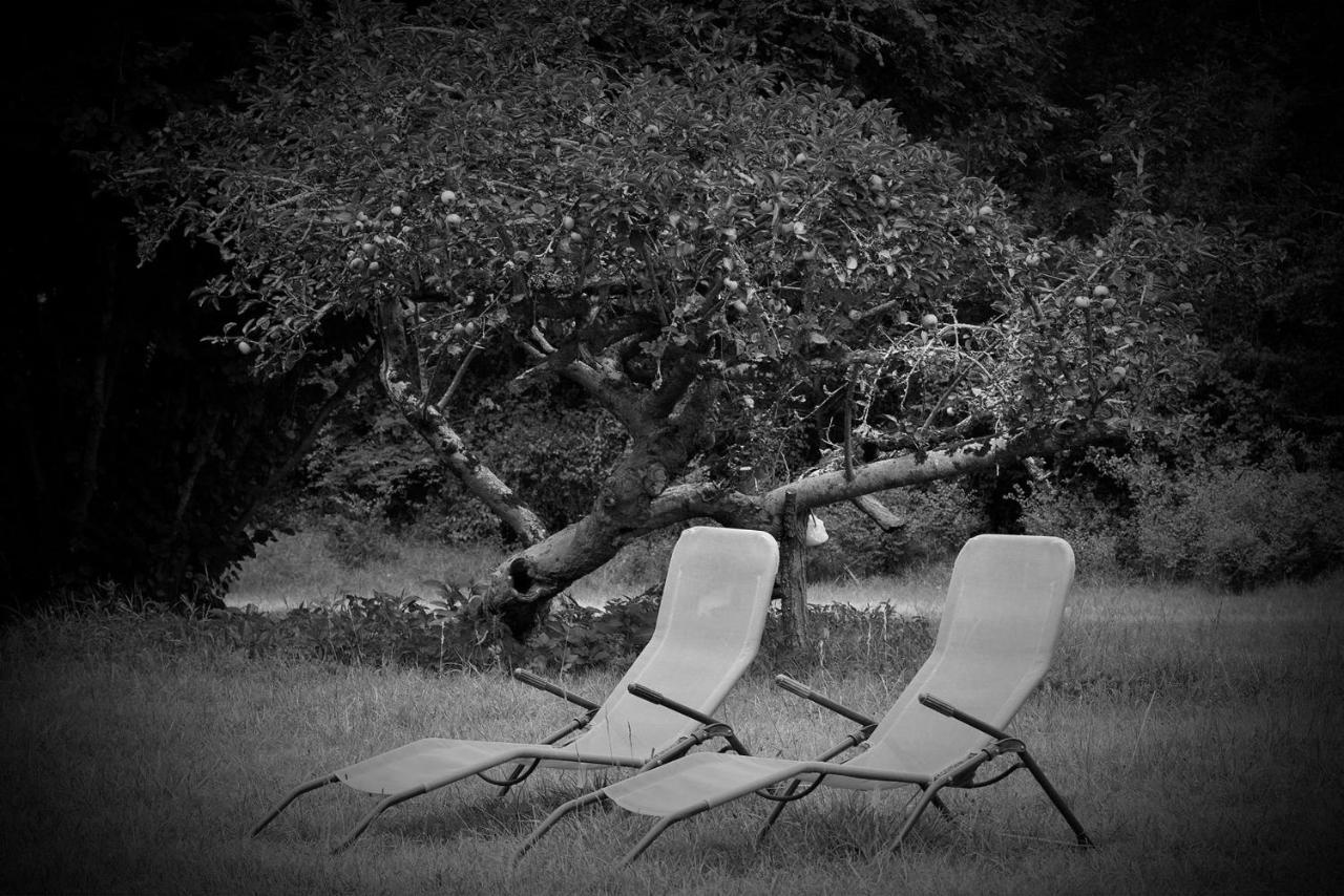 Couette-café Les Volets Violets Salles (Gironde)